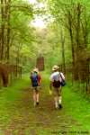 Rachel, Max and Scott along the path