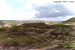 Alberta Badlands outside the Tyrell Museum