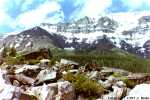 scree at Morain Lake